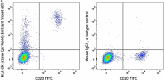 Brilliant Violet 605™ anti-human HLA-DR Recombinant Antibody (365603)