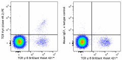 PE anti-mouse TCR Vγ4 Antibody (160603)