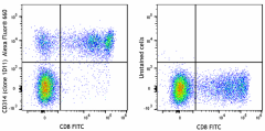 Alexa Fluor® 660 anti-human CD314 (NKG2D) Antibody (320841)
