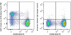 Alexa Fluor® 700 anti-mouse/rat/human CD27 Antibody (124239)