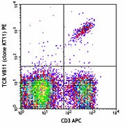 PE anti-mouse TCR Vβ11 Antibody (125907)