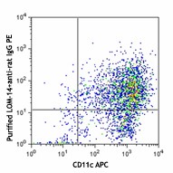 Purified anti-mouse CD301 (MGL1/MGL2) Antibody (145702)