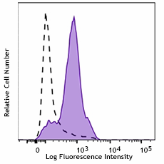 PE anti-MEK1 Phospho (Ser298) Antibody (610603)