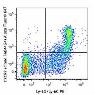 Alexa Fluor® 647 anti-mouse CD182 (CXCR2) Antibody (149305)