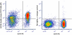 APC anti-mouse CD150 (SLAM) Antibody (162603)