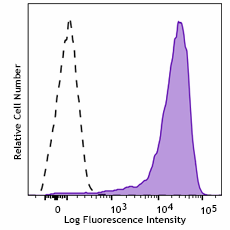 PE anti-mouse CD13 Recombinant Antibody (111003)