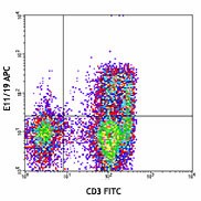 APC anti-human CD195 (CCR5) Phospho (Ser349) Antibody (321608)