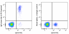PE/Cyanine5 anti-human IgD Antibody (348249)