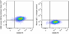 Brilliant Violet 510™ anti-human CD83 Antibody (305347)
