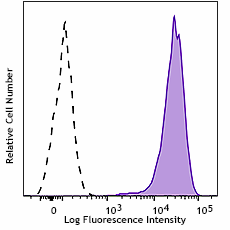 Purified anti-mouse CD13 Recombinant Antibody (111002)
