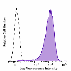 Purified anti-human CD138 (Syndecan-1) Antibody (390206)