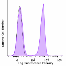 PE anti-rat CD3 Recombinant Antibody (200003)