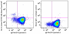 Alexa Fluor® 647 anti-mouse/human Bcl-6 Antibody (648305)