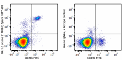 Spark NIR™ 685 anti-mouse NK-1.1 Antibody (156529)