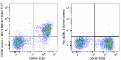Alexa Fluor® 647 anti-mouse CD185 (CXCR5) Antibody (145531)