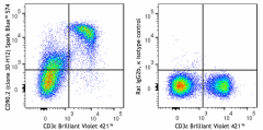 Spark Blue™ 574 anti-mouse CD90.2 (Thy1.2) Antibody (105359)