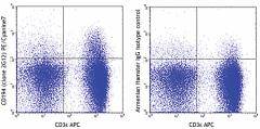 PE/Cyanine7 anti-mouse CD194 (CCR4) Antibody (131213)