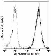 PE anti-mouse CD365 (Tim-1) Antibody (119505)