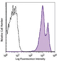 PE anti-rat CD38 Antibody (250505)