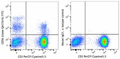FITC anti-human CD56 (NCAM) Recombinant Antibody (392413)