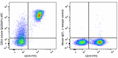 APC anti-mouse CD24 Recombinant Antibody (114303)