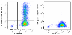 PE anti-mouse Arginase 1 Antibody (165803)
