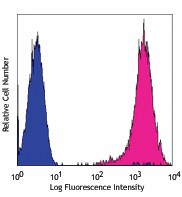 PE anti-human CD146 (MUC18, Mel-CAM) Antibody (342003)