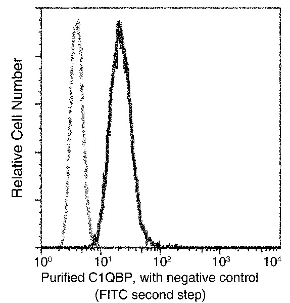 C1QBP/HABP1 Monoclonal Antibody (AN200044P)