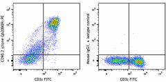 PE anti-mouse CD90.2 (Thy1.2) Recombinant Antibody (117107)