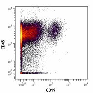 Purified anti-human CD19 (Maxpar® Ready) Antibody (302247)