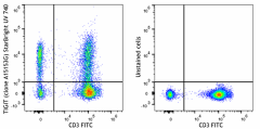 StarBright UltraViolet 740 anti-human TIGIT (VSTM3) Antibody (373749)
