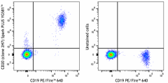Spark PLUS YG581™ anti-human CD20 Antibody (302385)
