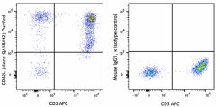 Purified anti-human CD62L Recombinant Antibody (306902)