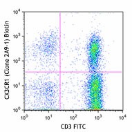 Biotin anti-human CX3CR1 Antibody (341617)