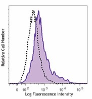 PE/Cyanine7 anti-mouse IL-12/IL-23 p40 (monomer, dimer, heterodimer) Antibody (505209)