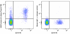 Alexa Fluor® 700 anti-human CD39 Antibody (328255)