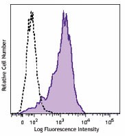 PE anti-human CD107b (LAMP-2) Antibody (354303)