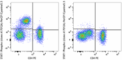PerCP/Cyanine5.5 anti-STAT1 Phospho (Tyr701) Antibody (666407)