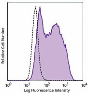 PE anti-human Tim-4 Antibody (354003)