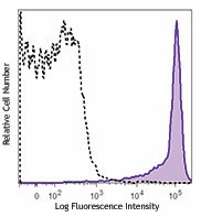 PE/Cyanine7 anti-mouse CD45RB Antibody (103317)