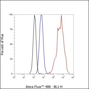 Recombinant Keratin 15 Monoclonal Antibody (AN301574L)