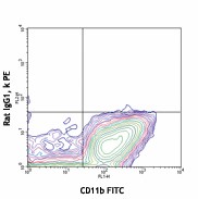PE anti-mouse CD115 (CSF-1R) Antibody (135505)