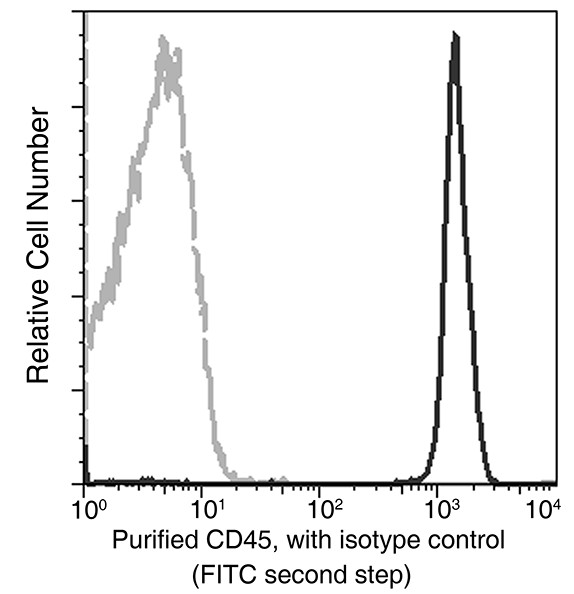 CD45/PTPRC Monoclonal Antibody (AN200165P)