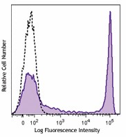Purified anti-marmoset CD8 Antibody (250302)