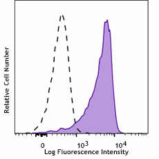 Purified anti-human IRF1 Antibody (332802)