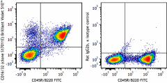 Brilliant Violet 510™ anti-mouse CD16/32 Antibody (156625)