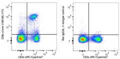 FITC anti-mouse CD8a Antibody (162313)