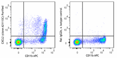 Purified anti-mouse CXCL2 (MIP-2) Antibody (168502)