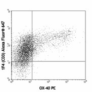 PE anti-rat CD134 (OX-40) Antibody (204508)