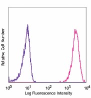 APC anti-mouse Podoplanin Antibody (127409)
